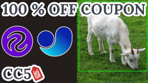 [100% OFF Coupon] Object Detection And Tracking Using Yolov11 : Deep Learning
