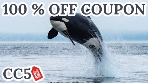 [100% OFF Coupon] Formation Orcaflex pour débutants/étudiants/Ingénieurs